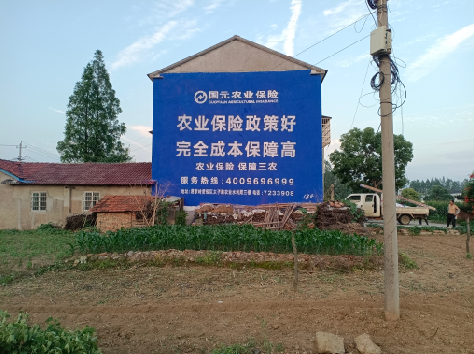 临武墙体广告的优劣势你知道吗？